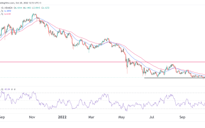 Polkadot price prediction: should you buy the DOT dip?