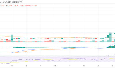 Toncoin surges by 10% as the broader crypto market extends its losing streak