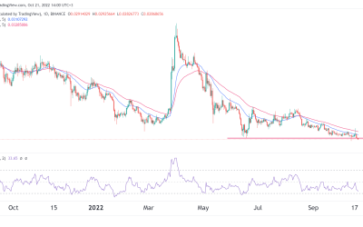 Ziliqa price prediction: Will this sleeping giant wake up?