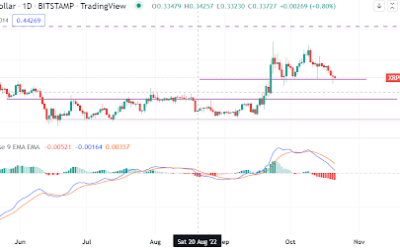 How good is XRP after this brutal statement by Ripple against the SEC