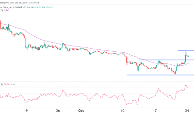 Down by 80%, is Optimism OP price cheap enough?