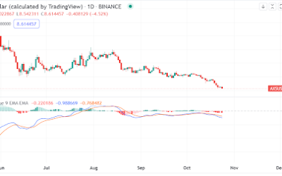 Axie Infinity claims a new low. Are we set for a more bearish move?