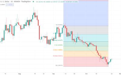 ADA is undervalued according to insights data. Should you buy it?