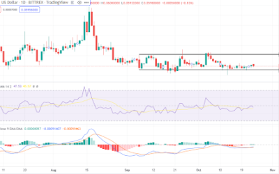 Dogecoin holds onto support. What is the likelihood of a bullish reversal?