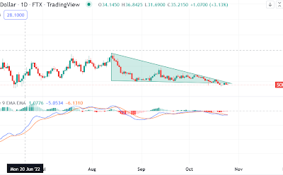 Solana could return 825% in the next cycle. What key analyst thinks amid a mixed outlook