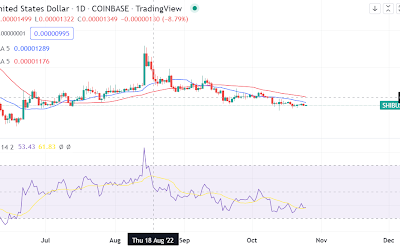 Shiba Inu continues to struggle. Here is the price outlook