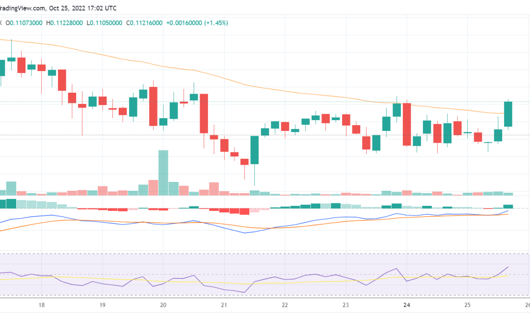 Stellar Lumen price below $0.120: Where next for XLM?
