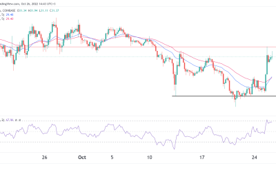 Solana price is recovering: Has SOL bottomed?