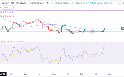 Bitcoin rallies to $20,000. Here is the next potential target