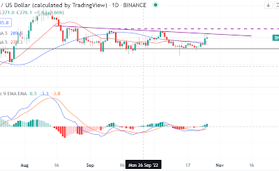 BNB remains on course to $300 as buyers gather momentum. But…