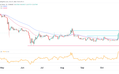 Dogecoin price prediction as Musk nears Twitter buyout