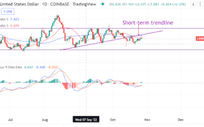 Chainlink whales are on an accumulation spree. How is the price outlook?