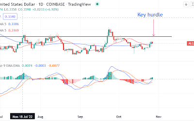 Algorand records growth in on-chain activity. Here is what it needs to become bullish