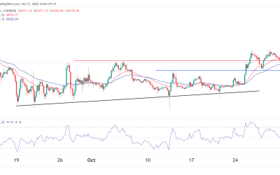 Bitcoin price prediction after Goldman Sach’s warming