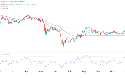 BNB price prediction after the Musk Twitter buyout