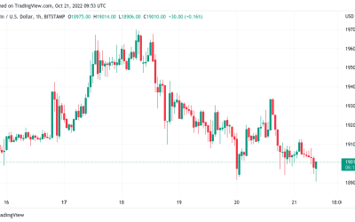 Global recession may last until near 2024 Bitcoin halving — Elon Musk