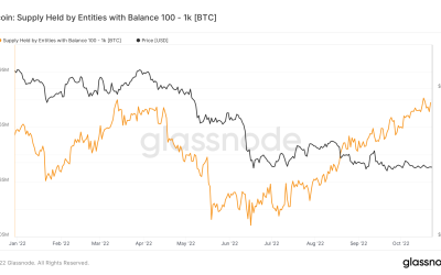 Small Bitcoin investors stop whales from crashing BTC price below $18K