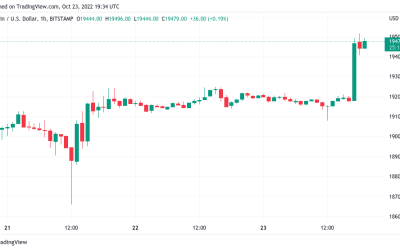 Bitcoin price hits $19.5K into weekly close as trader predicts ‘green week’