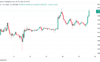 Bitcoin price rises above $19.6K as US dollar strength falls to 3-week lows