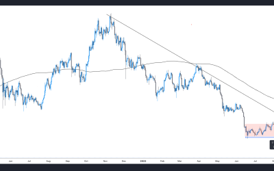 Will bulls take charge now that Bitcoin price trades above a long-term trendline resistance?