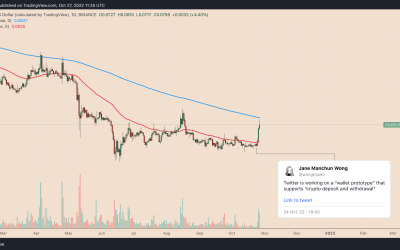 Dogecoin price jumps 40% on Elon Musk, Twitter’s crypto wallet rumors