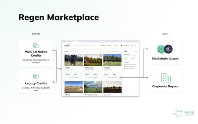 Carbon Offsetting for Blockchains & Beyond: Regen Network Launches Carbon Marketplace