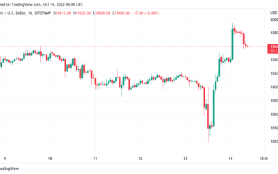 Bitcoin ‘bear trap’ sees BTC price near $20K as daily gains top 9%