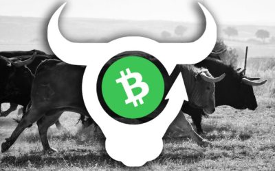 Decentralized App BCH Bull Prepares for Launch, Platform Allows Users to Long or Hedge Bitcoin Cash Against a Myriad of Tradeable Assets