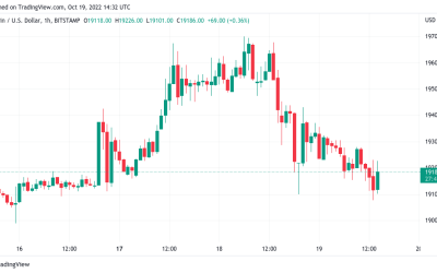 Here’s what could spark a ‘huge BTC rally’ as Bitcoin clings to $19K