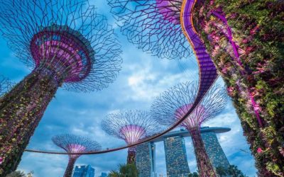 Coinbase Receives In-Principle Approval to Provide Crypto Services in Singapore