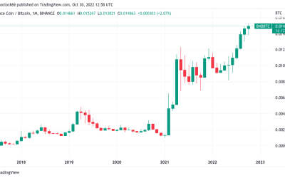 BNB jumps to new BTC all-time high as Elon Musk’s Twitter fuels DOGE bulls