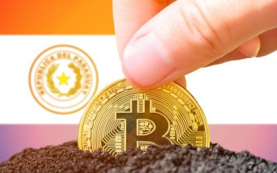 Bitcoin Miner Pow.re Begins Mining Facility Construction in Paraguay, Acquires 3,600 Microbt ASICs