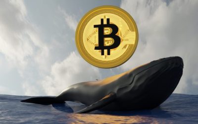 BTC Whale Transfers $940 Million Out of Coinbase — 3 Batches of ‘Sleeping Bitcoins’ From 2011 Move