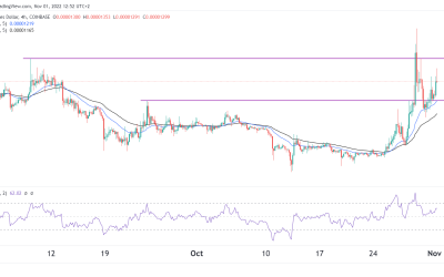 Shiba Inu (SHIB) price prediction for November