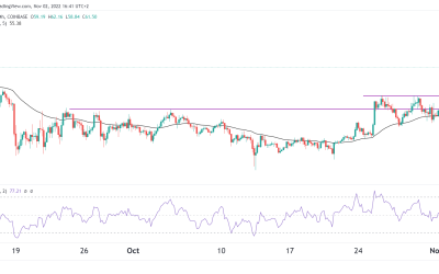 Litecoin price has gone bonkers: How high can LTC go?