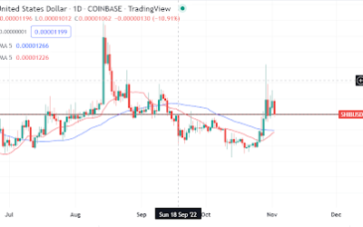 Shiba Inu prediction as price retraces 50%. What should you do?