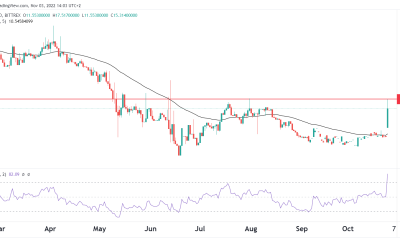 Arweave price prediction: Here’s why AR is soaring