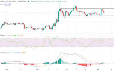 Ripple’s XRP continues to be choppy. What’s the next likely price action?