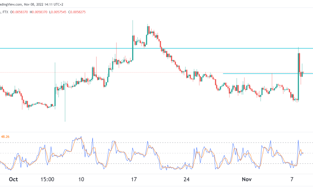 REEF price prediction as it defies gravity