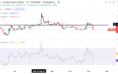 Is Shiba Inu’s bull run over? Here is the technical outlook