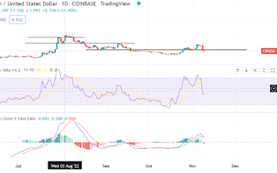 Should you buy Optimism as token tests support