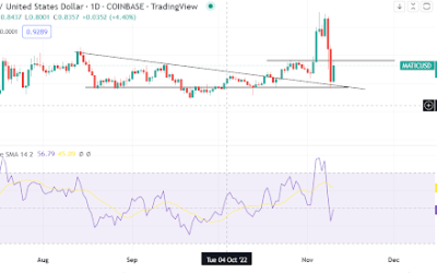 Cryptocurrencies are soiling, but Polygon’s MATIC could defy bears – a technical outlook