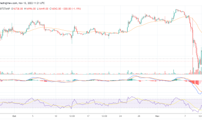 Bitcoin maintains its price above $16k but could dip lower soon