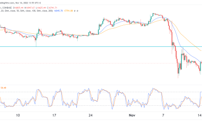 Bitcoin price prediction: How low can it drop?