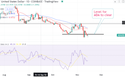 Cardano continues to add new wallets. But how is the price outlook?