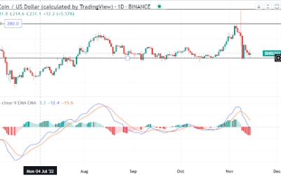 Binance coin price analysis amid fresh pains in the crypto market