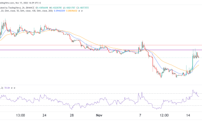 MDX price is defying gravity: Is it a good buy?