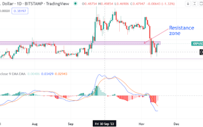 Ripple’s XRP rallies 10% after another win. Is the token now bullish?