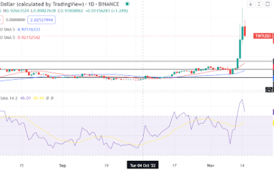 Trust Wallet Token – a cryptocurrency with 100% gains, but are higher prices possible?