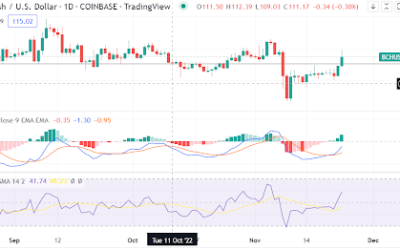 Bitcoin Cash reclaims $110 support. A reason to be optimistic about further gains?